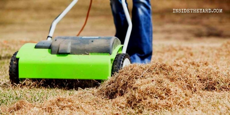 Cómo recoger la paja después de la limpieza