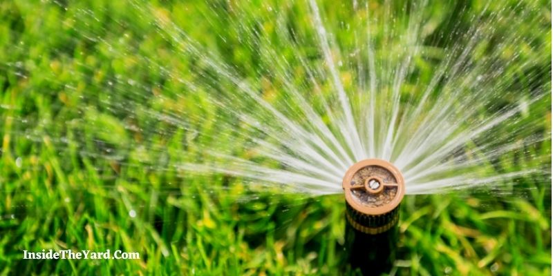 How to Water Narrow Strip of Lawn