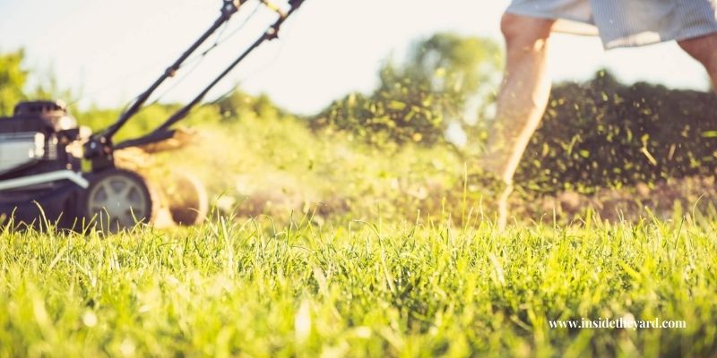 ¿Cuándo es demasiado tarde para cortar el césped?