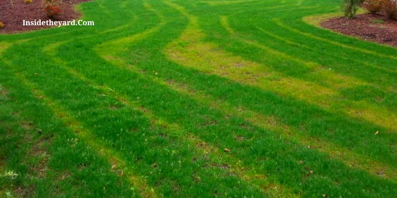  fixing fertilizer streaks