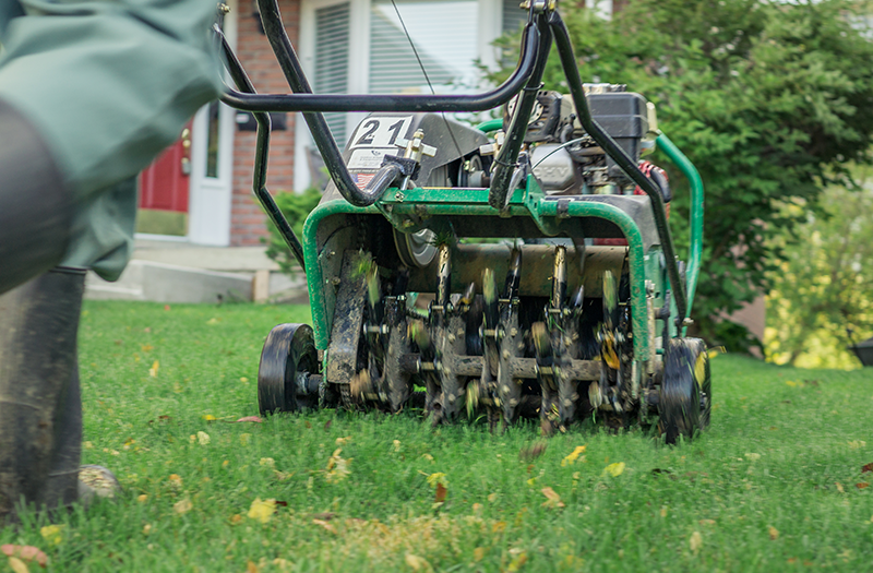 Lawn Aerator