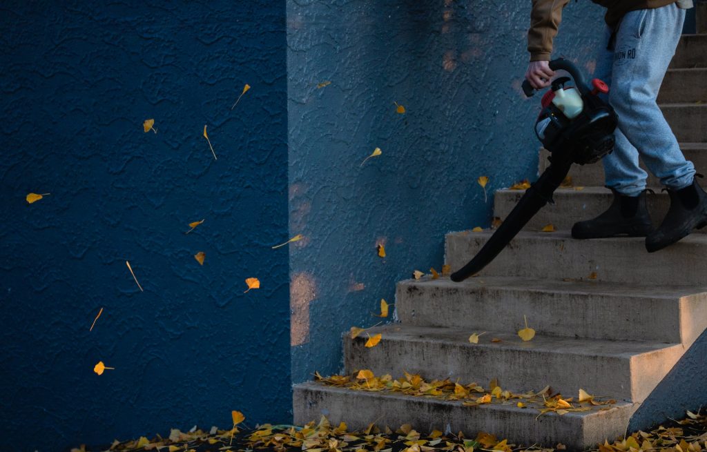 leaf cleaning