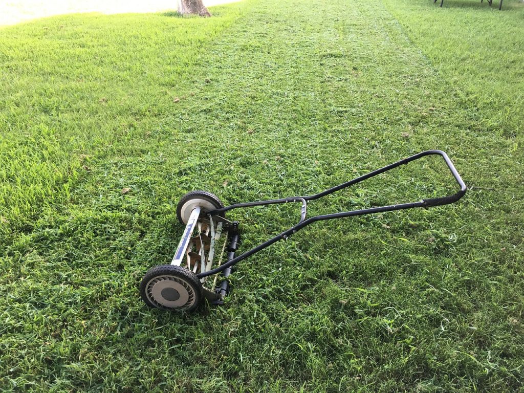 lawn care tool