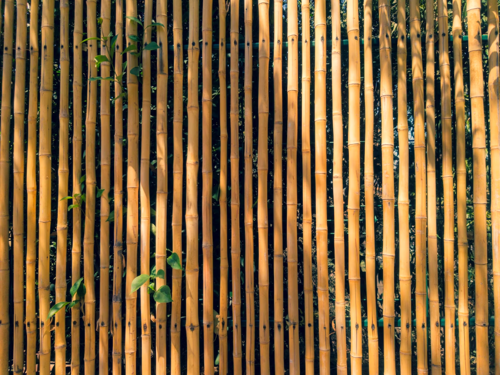 brown bamboo fence during daytime