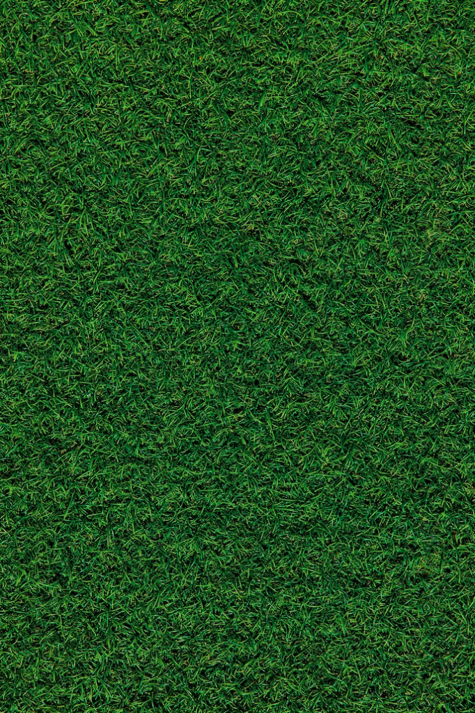 plain green grass field during daytime