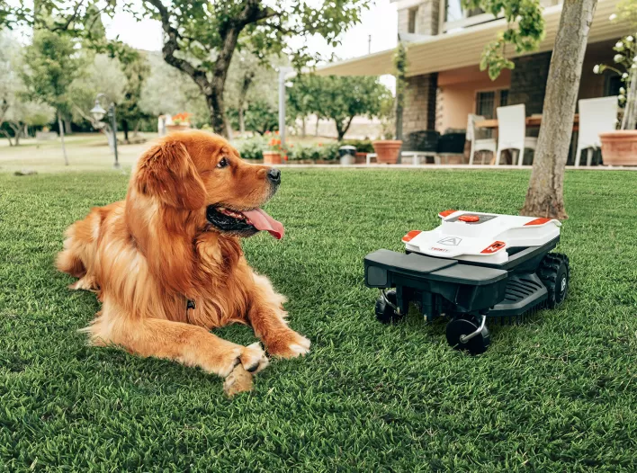 dog sitting beside Ambrogio Twenty ZR in lawn