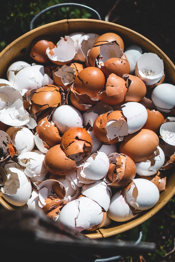 broken egg shells