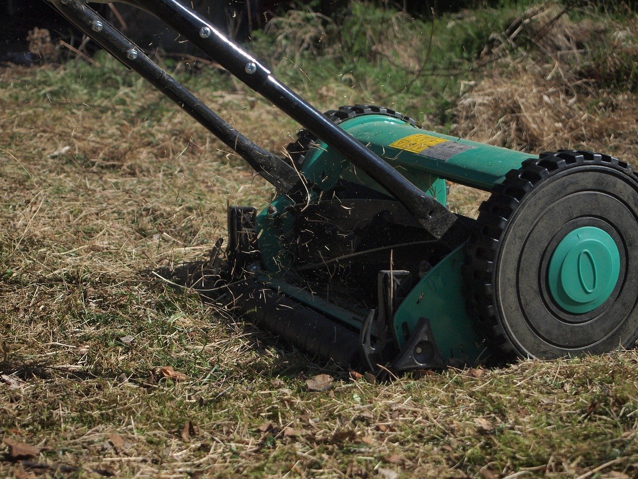 rerel lawn mower