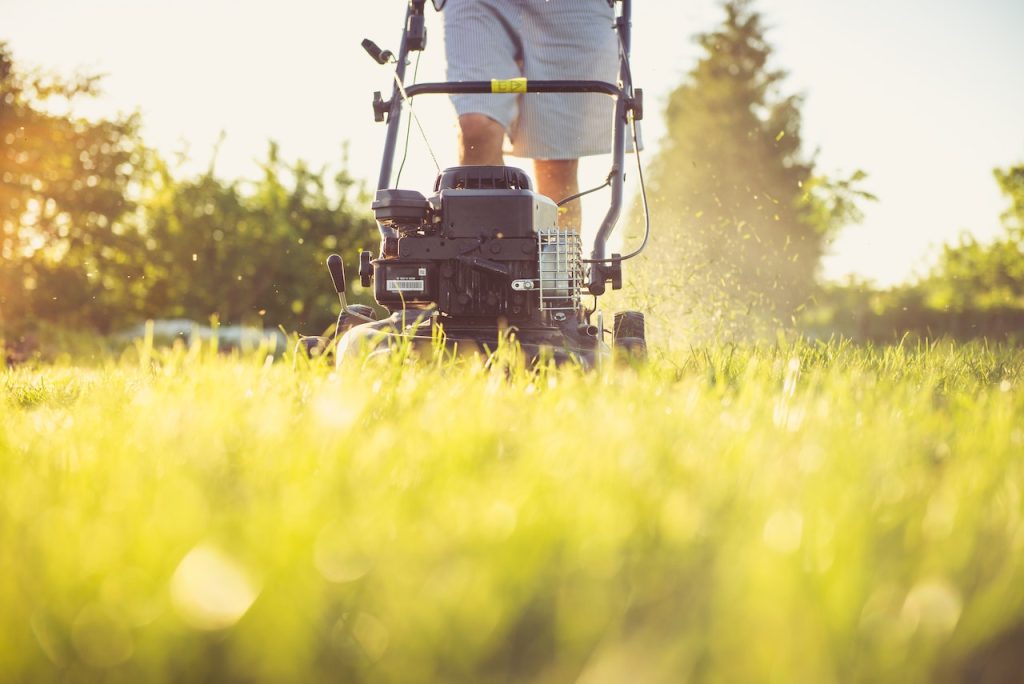 lawn care with mower