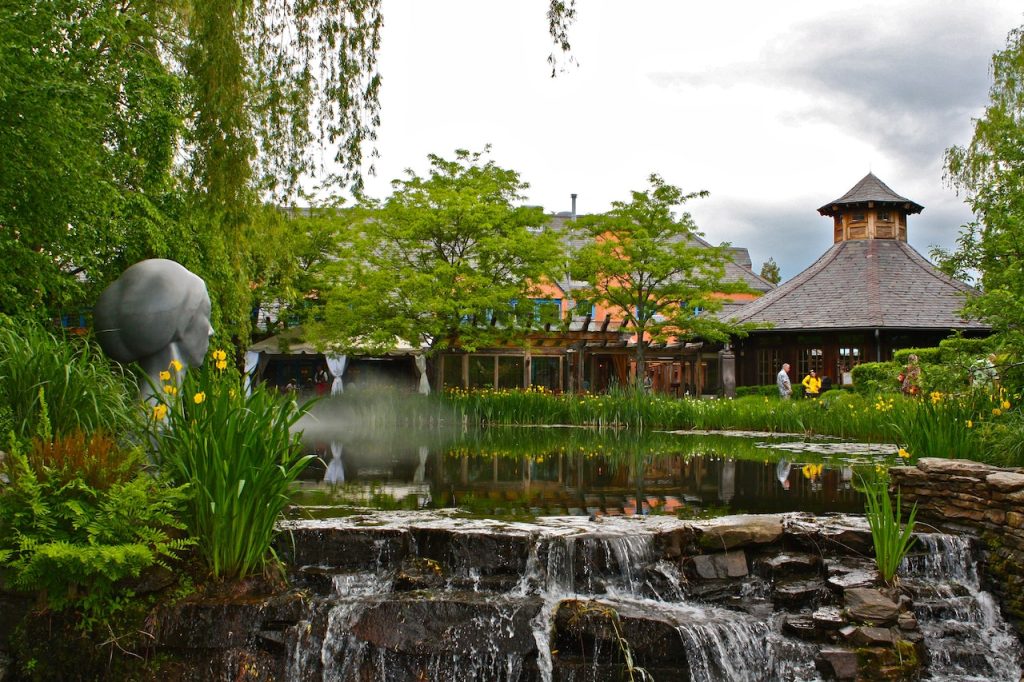 garden pond water