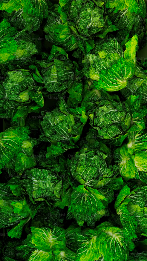 green cabbage