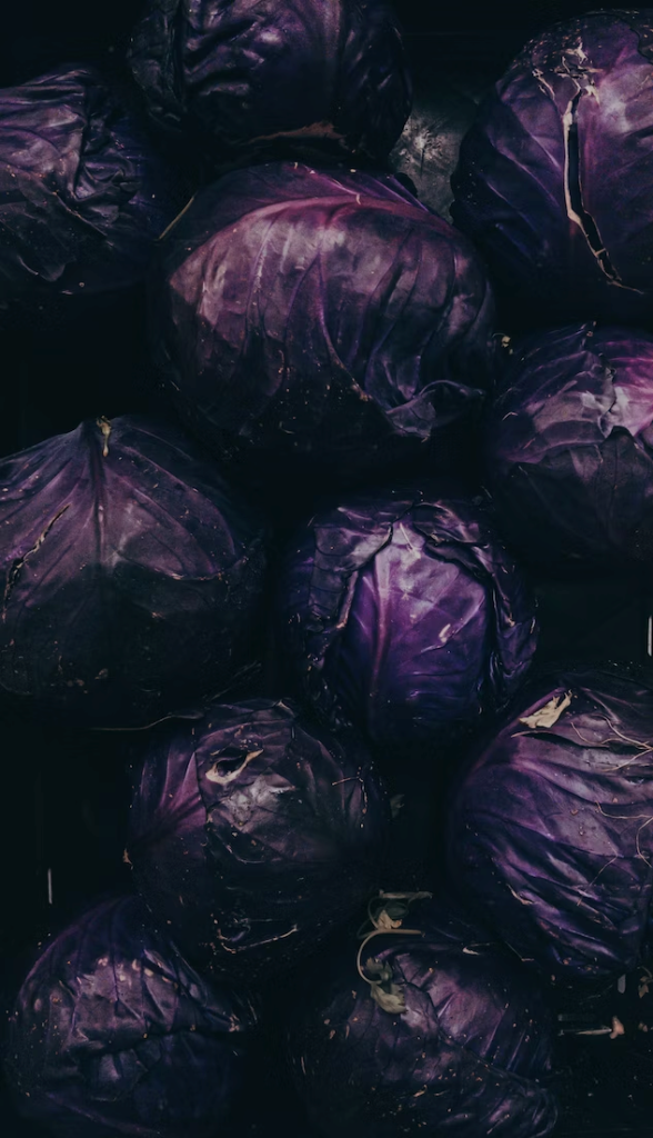 purple cabbage