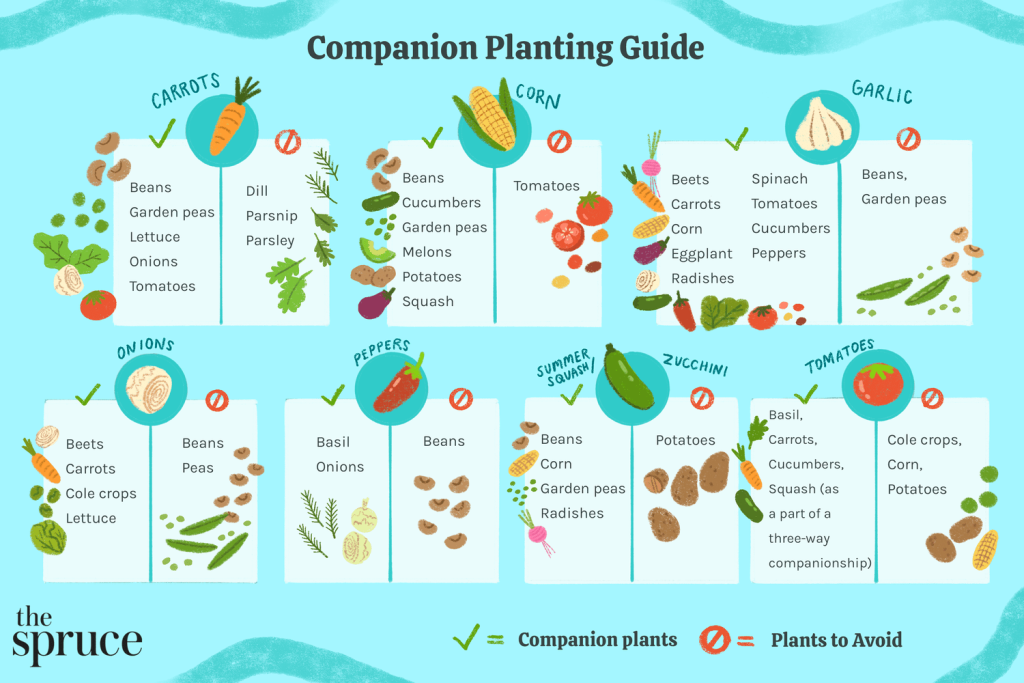 companion planting guide