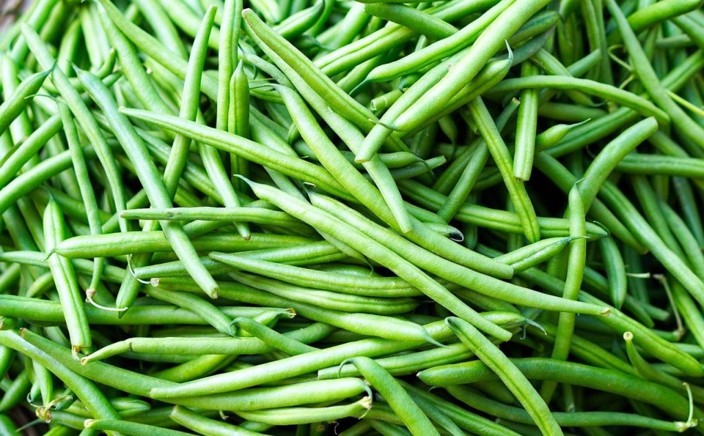 pole beans