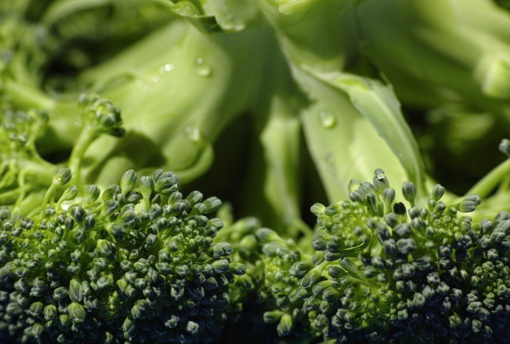 close up photo of broccoli