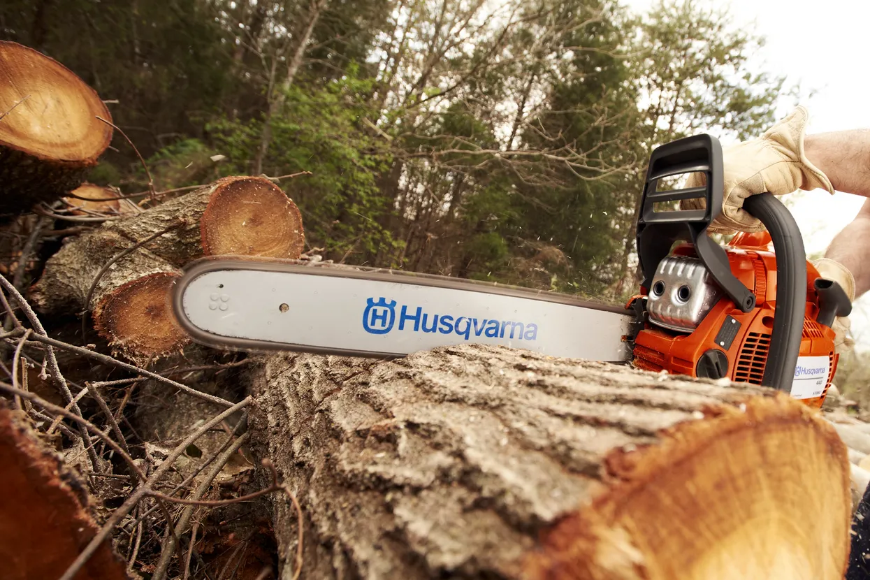 person using chainsaw to cut tree