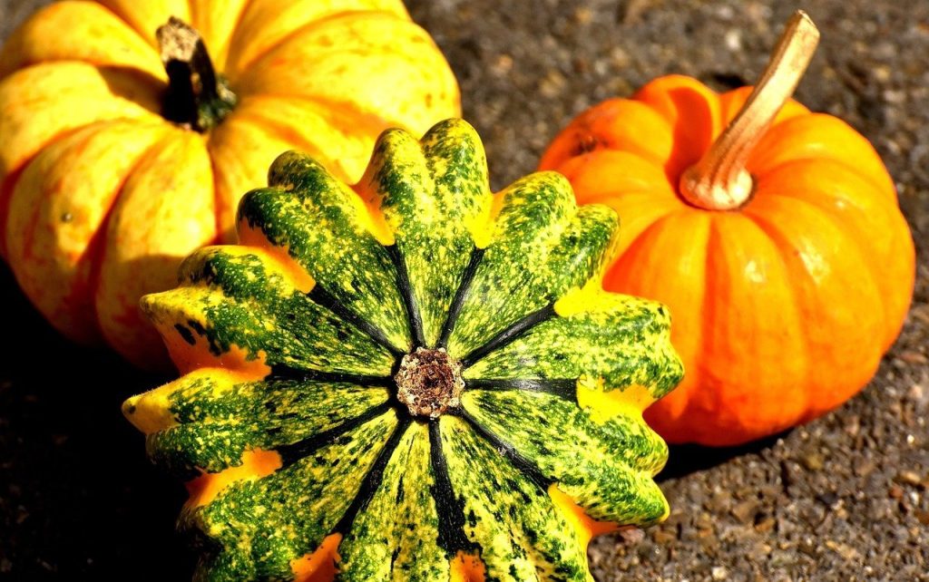 three pumpkins