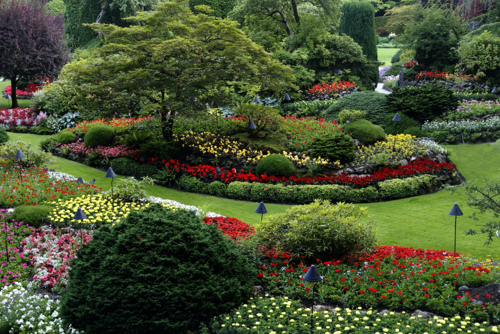 outdoor garden landscape image