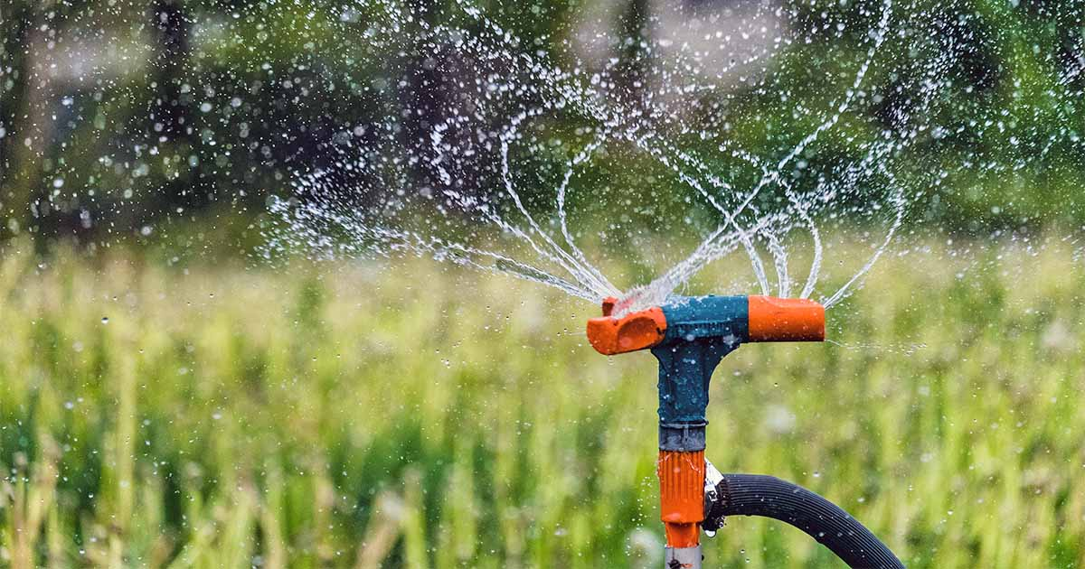 Sprinkler system in green lawn