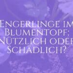 Close-up of white grubs in a flower pot with soil, gardening gloves holding one larva, sunlight filtering through leaves, natural and educational vibe, realistic.