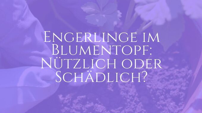 Close-up of white grubs in a flower pot with soil, gardening gloves holding one larva, sunlight filtering through leaves, natural and educational vibe, realistic.