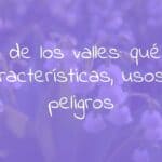 Delicate white lily of the valley flowers with green leaves, soft focus, natural sunlight, garden setting, elegant and fresh vibe, realistic.