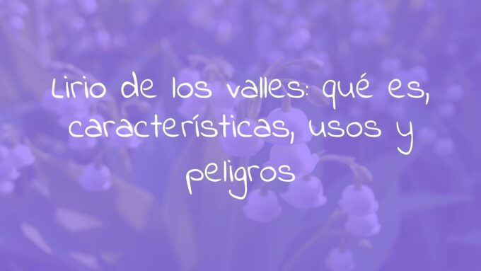 Delicate white lily of the valley flowers with green leaves, soft focus, natural sunlight, garden setting, elegant and fresh vibe, realistic.