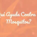 Close-up of a mosquito in mid-flight, green tropical background, golden sunset lighting, detailed and realistic.