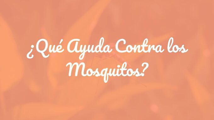 Close-up of a mosquito in mid-flight, green tropical background, golden sunset lighting, detailed and realistic.