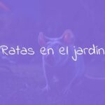 A scary rat in a garden, nighttime, eerie lighting, realistic.