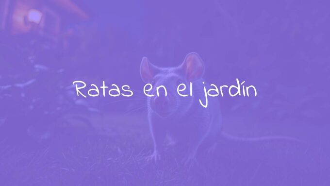 A scary rat in a garden, nighttime, eerie lighting, realistic.