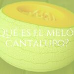 A ripe cantaloupe melon on a wooden table, orange flesh, textured skin, fresh and juicy, summer vibe, natural lighting, realistic.