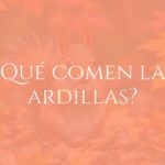 A cute squirrel holding a nut, surrounded by autumn leaves and acorns, natural forest background, realistic.