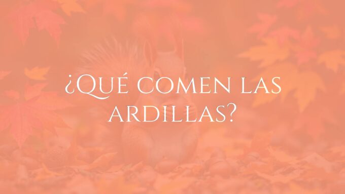 A cute squirrel holding a nut, surrounded by autumn leaves and acorns, natural forest background, realistic.