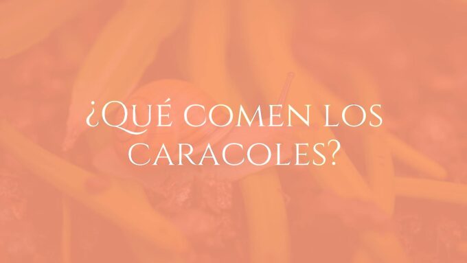 A close-up of a snail eating leafy greens on damp soil, vibrant colors, natural lighting, realistic and detailed.