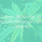 A distressed cannabis plant with yellowing leaves, nutrient burn on the tips, rich soil with scattered fertilizer pellets, focused lighting, realistic.