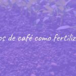 Used coffee grounds sprinkled on rich soil as natural fertilizer, surrounded by green healthy plants, bright daylight, eco-friendly gardening vibe, realistic.