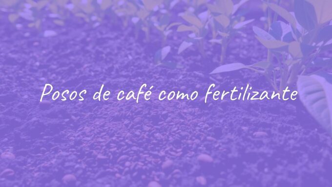 Used coffee grounds sprinkled on rich soil as natural fertilizer, surrounded by green healthy plants, bright daylight, eco-friendly gardening vibe, realistic.