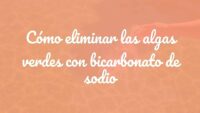 A clear swimming pool with a green algae problem, bicarbonate soda being sprinkled into the water, sunny day, realistic.