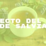 A steaming cup of sage tea, fresh sage leaves and flowers, natural herbal remedy, calming and healthy vibe, realistic.