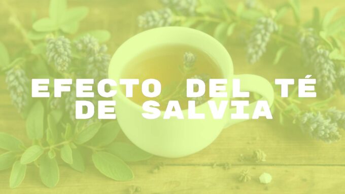 A steaming cup of sage tea, fresh sage leaves and flowers, natural herbal remedy, calming and healthy vibe, realistic.