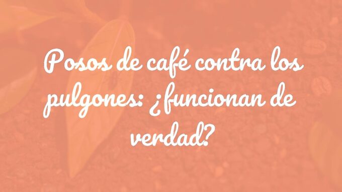 Close-up of coffee grounds sprinkled on soil near aphid-infested plant leaves, natural lighting, realistic.