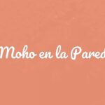 Close-up of dark mold spots on a damp wall, moist and textured surface, dim lighting, realistic.