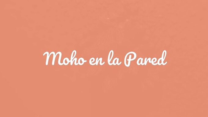 Close-up of dark mold spots on a damp wall, moist and textured surface, dim lighting, realistic.