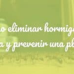 Close-up of ants marching in a kitchen, dark background, realistic tone, focus on prevention and infestation concept.