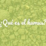 Dark, rich humus soil, close-up, soft and spongy texture, organic matter, healthy soil for plants, realistic.