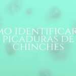 Close-up of bed bug bites on human skin, red and itchy marks, realistic, detailed, health awareness theme.