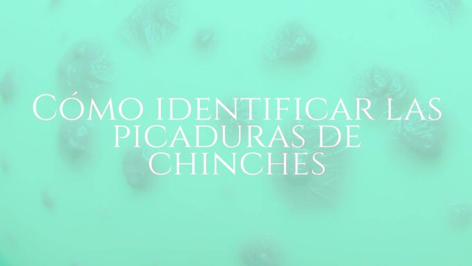 Close-up of bed bug bites on human skin, red and itchy marks, realistic, detailed, health awareness theme.