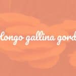 A vibrant Laetiporus sulphureus mushroom, bright yellow and orange, growing in layers on a tree trunk in a healthy forest, detailed and realistic.