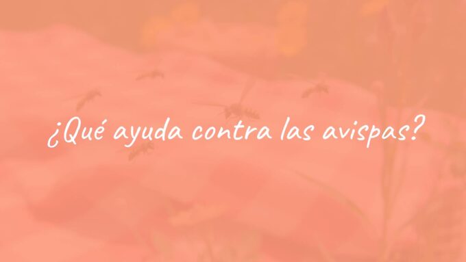 Yellow and black wasps flying around a picnic table, summer scene, realistic.